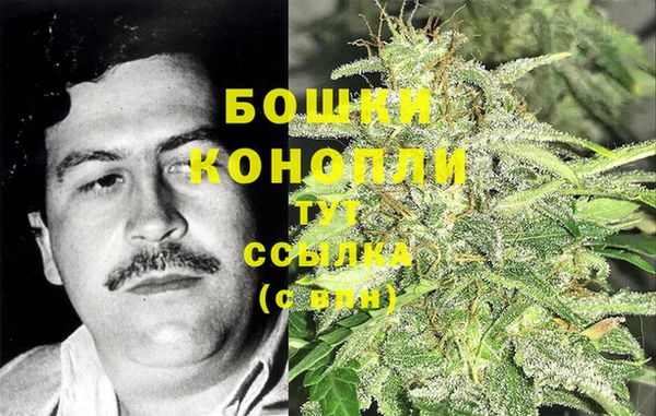 ешки Алексеевка