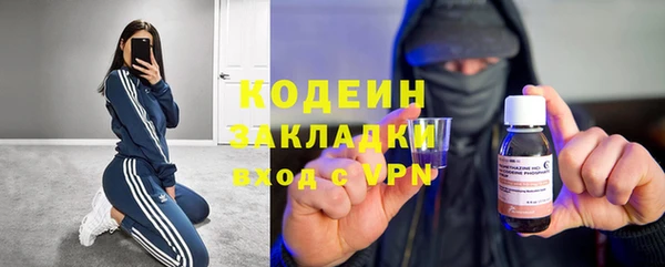 гашик Алзамай