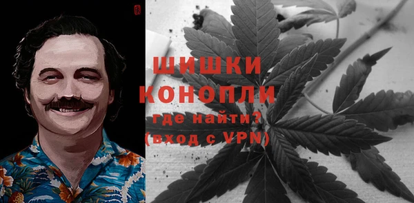 шишки Алексин