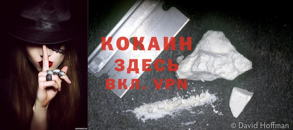 стафф Пересвет