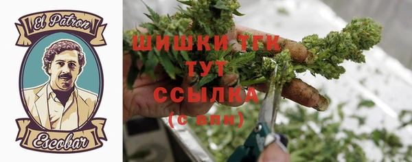 шишки Алексин